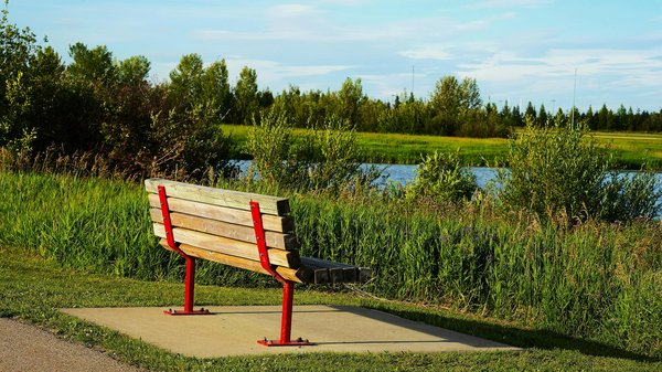Identifier les Signes Précoces de la Colite Ulcéreuse : Guide Pratique pour Mieux Gérer la Situation